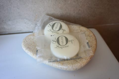 Hair dryer, bidet, towels