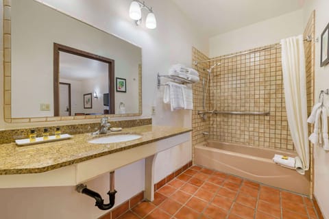 Combined shower/tub, free toiletries, hair dryer, towels