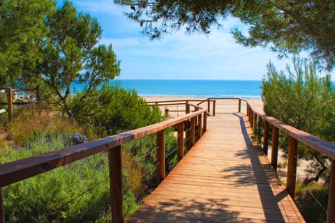 Beach nearby