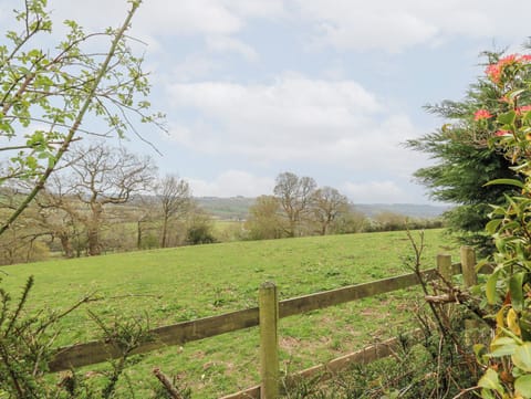 Cottage | Property grounds