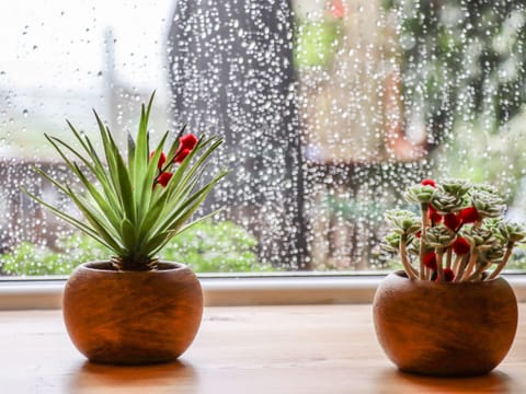Cottage | Interior detail