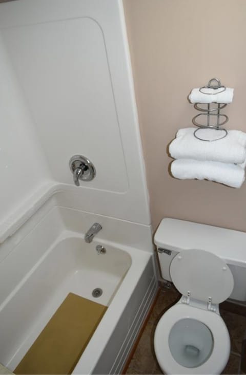 Combined shower/tub, free toiletries, towels