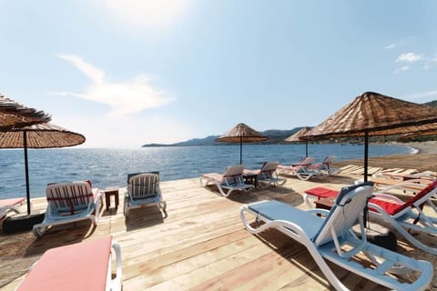 Sundeck