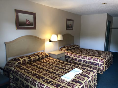 Basic Single Room | Individually decorated, individually furnished, desk, blackout drapes