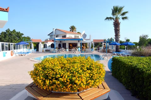 Outdoor pool, pool umbrellas, sun loungers