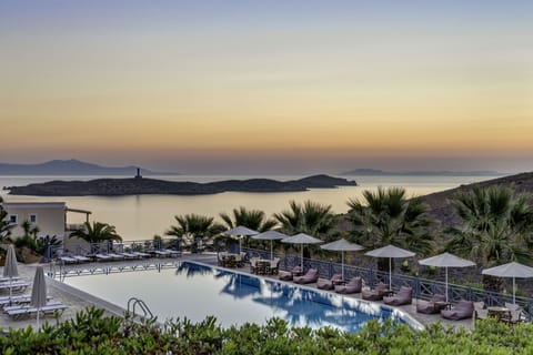 Outdoor pool, pool umbrellas, sun loungers