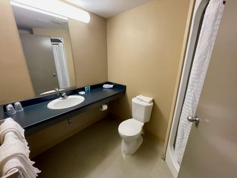 Suite, 2 Bedrooms | Bathroom | Shower, free toiletries, towels