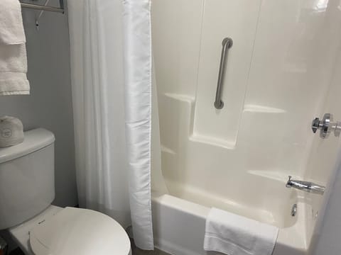 Combined shower/tub, free toiletries, hair dryer, towels