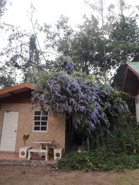 Standard Bungalow | Free WiFi