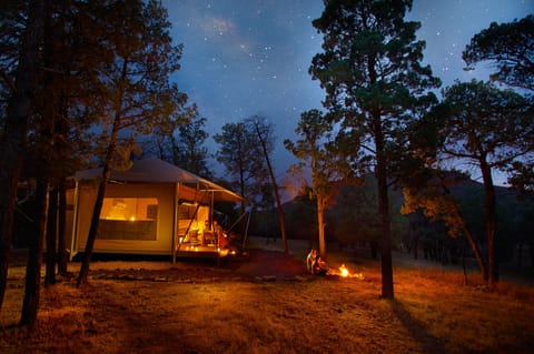 Tent (Safari) | Exterior