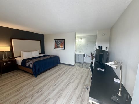 Deluxe Suite, 1 King Bed, Non Smoking, Hot Tub | Individually furnished, desk, blackout drapes, iron/ironing board