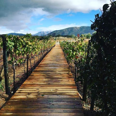 Winery