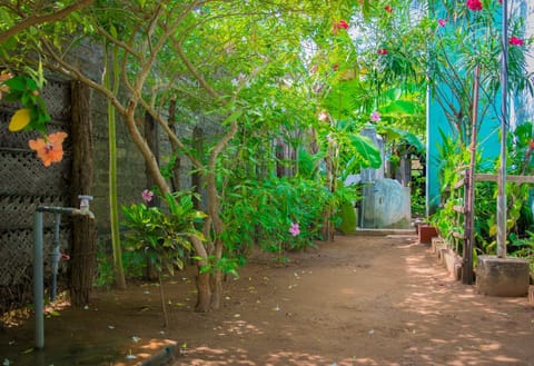 Two Bedrooms House | Terrace/patio