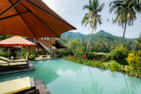 Outdoor pool, sun loungers