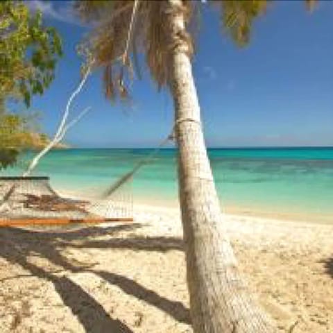 Panoramic Cabin, 1 Bedroom, Ocean View, Beachfront | View from room