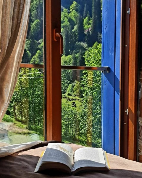 Comfort Triple Room | Terrace/patio