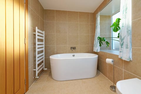 Combined shower/tub, free toiletries, hair dryer, towels