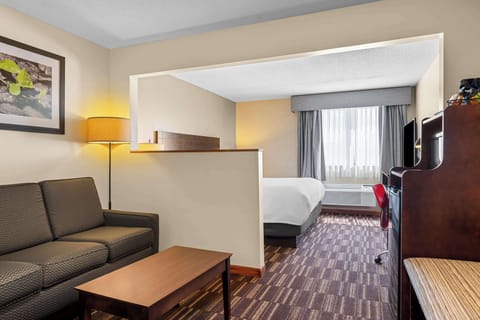 Standard Room, 1 King Bed, Non Smoking, Refrigerator & Microwave | Desk, laptop workspace, iron/ironing board, free cribs/infant beds