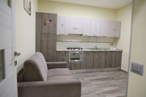 Basic Apartment, 1 Bedroom, Kitchenette (BRISEIDE) | Private kitchen | Full-size fridge, cleaning supplies, paper towels