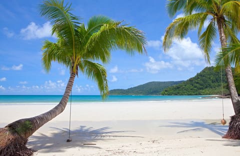 On the beach, white sand, fishing