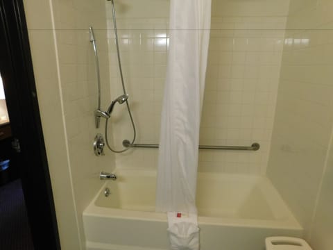 Standard Room, 1 King Bed, Accessible, Refrigerator & Microwave | Bathroom | Shower, rainfall showerhead, free toiletries, hair dryer