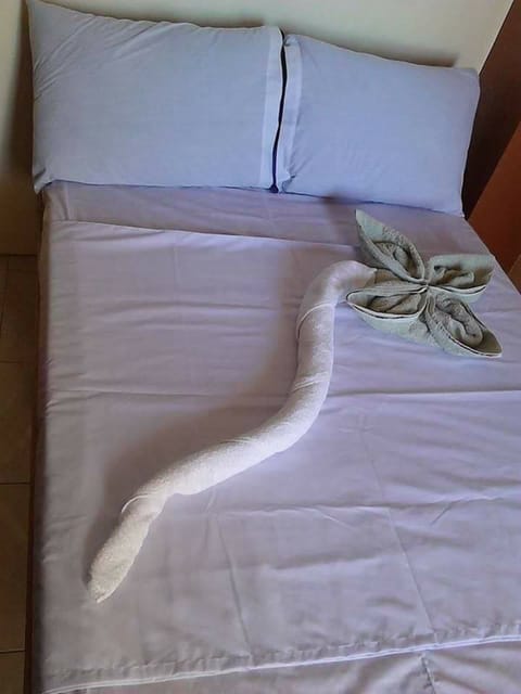 Standard Double Room | Desk, free WiFi, bed sheets