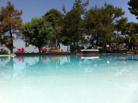 Seasonal outdoor pool, open 8:00 AM to 7:00 PM, sun loungers