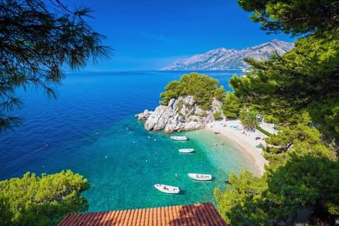 On the beach, sun loungers, beach umbrellas, scuba diving