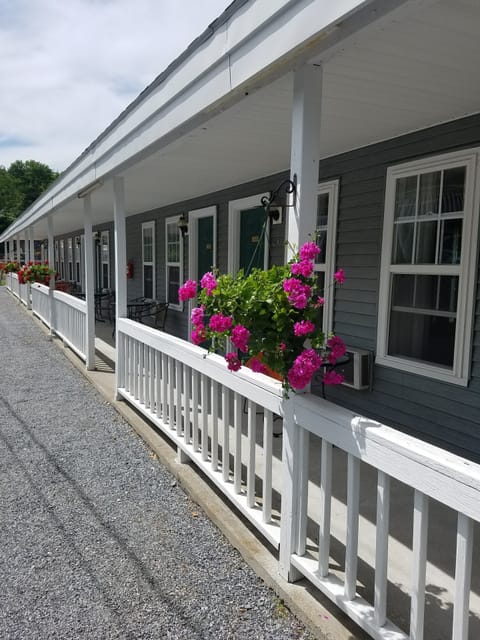 Cozy King | Terrace/patio