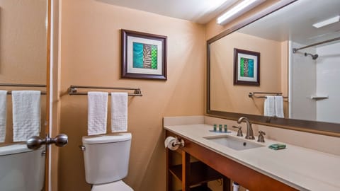 Combined shower/tub, hair dryer, towels