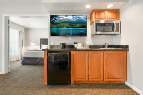 Standard Studio Suite, 1 Bedroom | Private kitchenette | Microwave, coffee/tea maker, freezer, paper towels