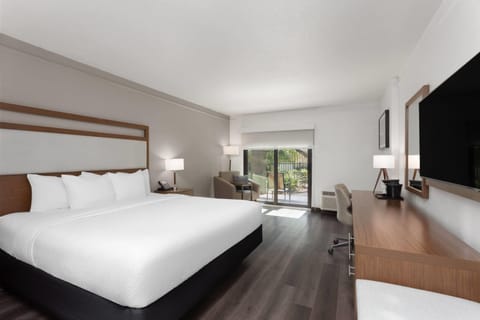 Deluxe Room, 1 King Bed, Non Smoking, Pool View | Pillowtop beds, desk, blackout drapes, iron/ironing board