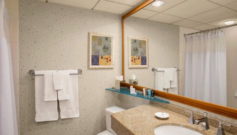 Combined shower/tub, free toiletries, hair dryer, towels