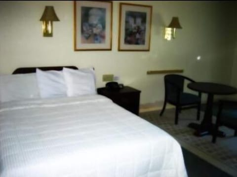 Standard Room, 2 Queen Beds, Non Smoking | Iron/ironing board (on request), WiFi (free), alarm clocks, bed sheets