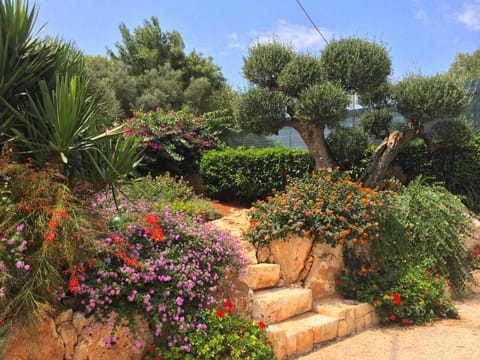 Superior Double Room, Garden View | Garden