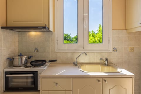 Family House, 1 Bedroom, Accessible | Private kitchen | Fridge, stovetop, electric kettle, highchair