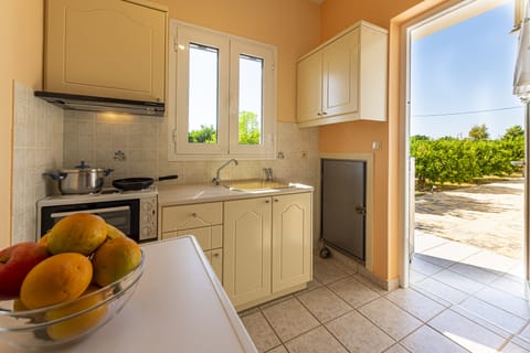 Fridge, stovetop, electric kettle, highchair