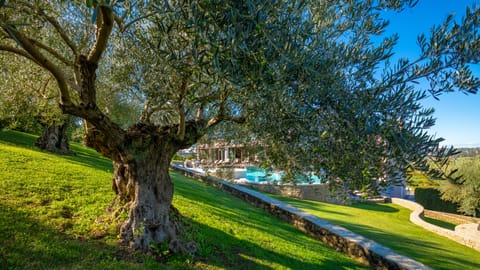 Indoor pool, seasonal outdoor pool, pool umbrellas, sun loungers