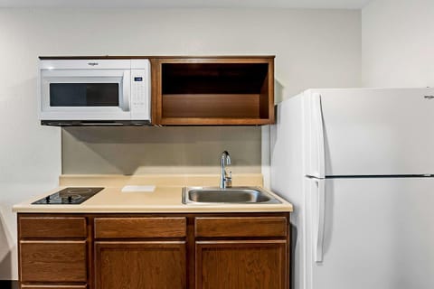 Full-size fridge, microwave, stovetop, freezer