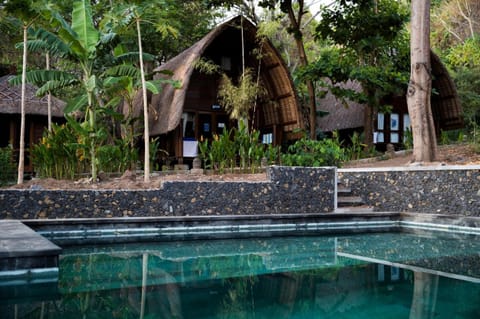 Outdoor pool, sun loungers