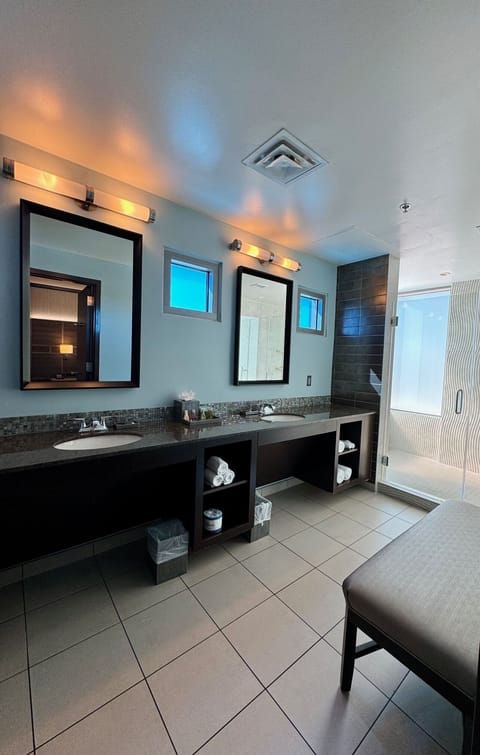 South Corner Suite, 1 King Bed with Sofa Bed | Bathroom | Free toiletries, hair dryer, towels