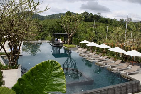 Outdoor pool, pool umbrellas, sun loungers