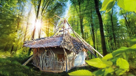Deluxe Cabin | Individually decorated, individually furnished