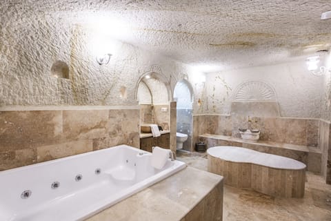 Deluxe Suite | Bathroom | Shower, free toiletries, hair dryer, slippers
