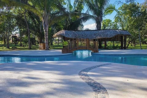 Outdoor pool, open 8:00 AM to 9:00 PM, sun loungers