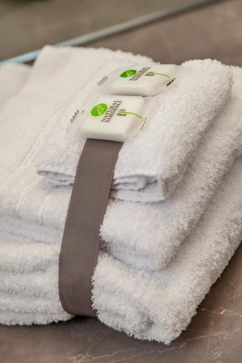 Hair dryer, bidet, towels, toilet paper