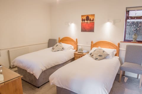 Standard Twin Room, 2 Twin Beds, Non Smoking, Microwave | Individually decorated, individually furnished, desk, laptop workspace