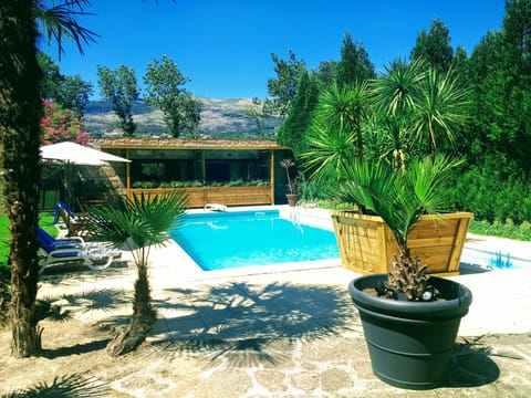 Outdoor pool, pool umbrellas, sun loungers