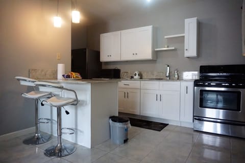 City Apartment | Private kitchen | Full-size fridge, microwave, oven, stovetop