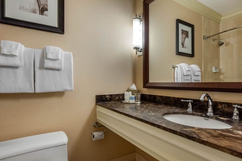 Combined shower/tub, rainfall showerhead, free toiletries, hair dryer